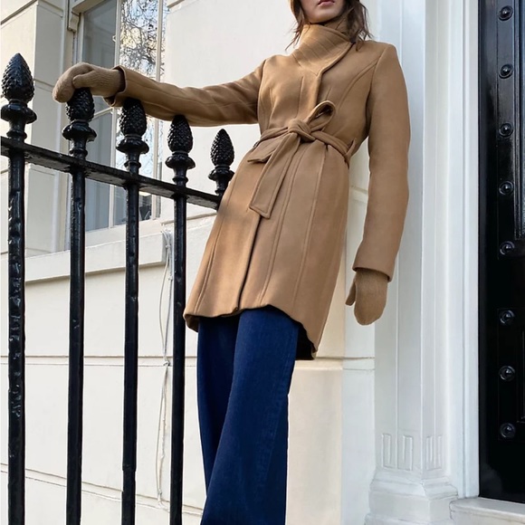 Aritzia Babaton The Connor Coat virgin wool jacket - Picture 3 of 10